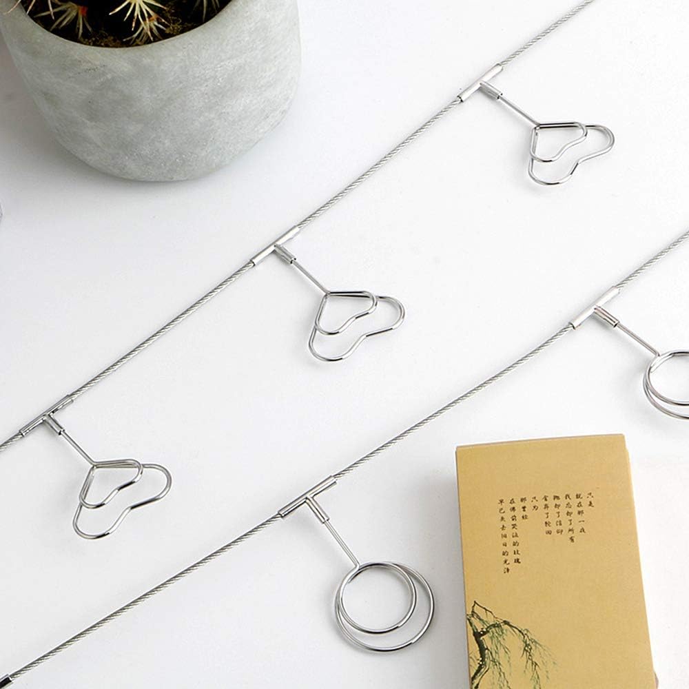 Multi-Purpose Steel Wall Hanging Photo Display Cable Wire Rod String with 12 Clips for Hanging Photos Notes and Artworks (Heart Shape Clip)
