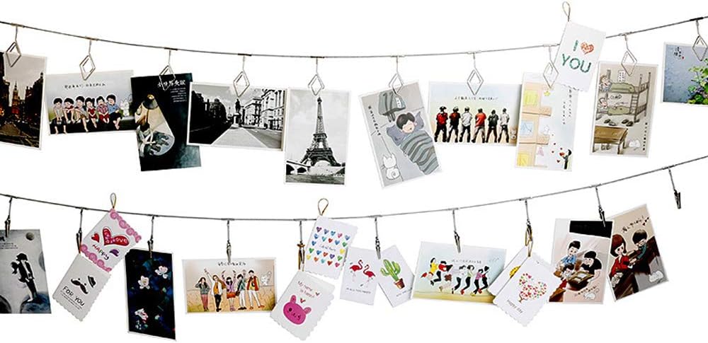 Multi-Purpose Steel Wall Hanging Photo Display Cable Wire Rod String with 12 Clips for Hanging Photos Notes and Artworks (Alligator clip)