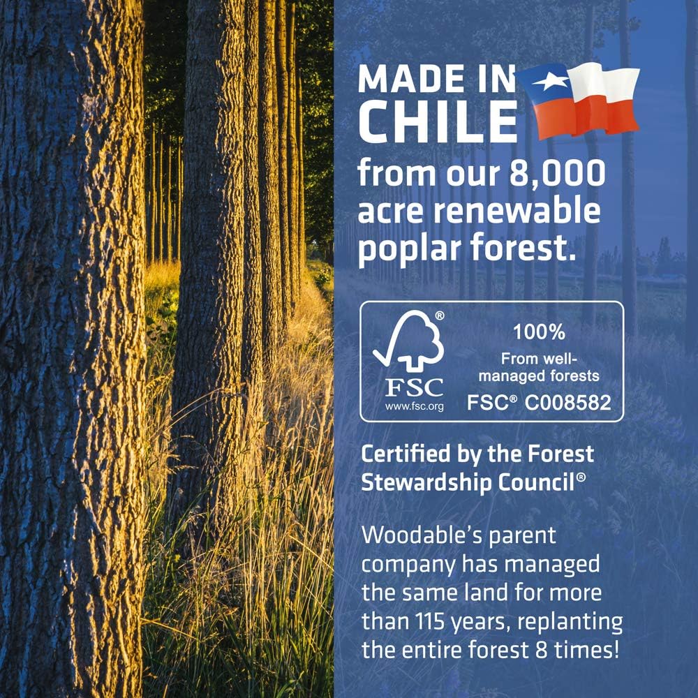 5.5 Inch Wooden Coffee Stirrers, 1000 Count, Disposable & Compostable Wood Coffee Stick Stirrers | Eco-Friendly, Sustainable, Organic, Biodegradable, Vegan-Friendly Coffee Station Supplies