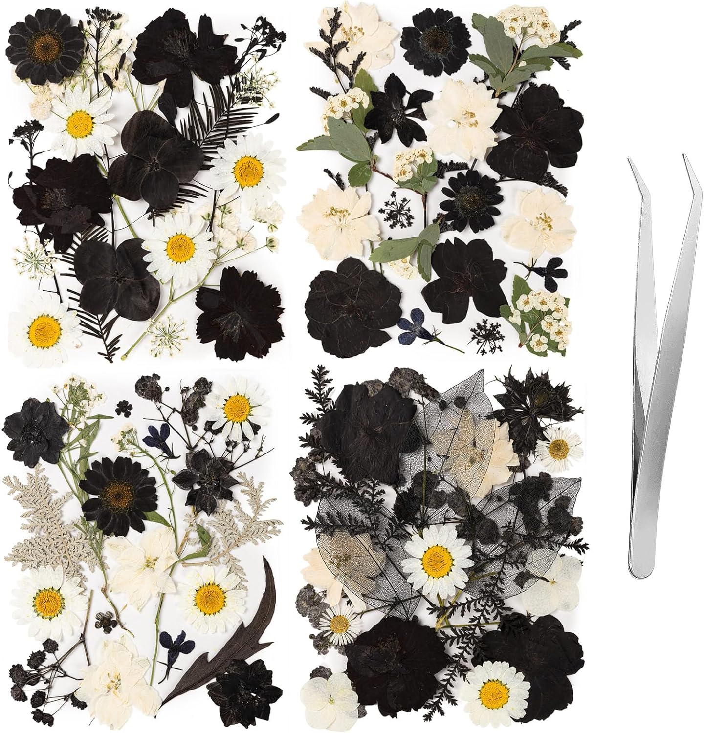 78 Pcs Black and White Dried Pressed Flowers with Tweezer, Halloween Themed Real Dried Flowers Leaves for DIY Crafts Resin Molds, Dried Flowers for Autumn Halloween Decorations
