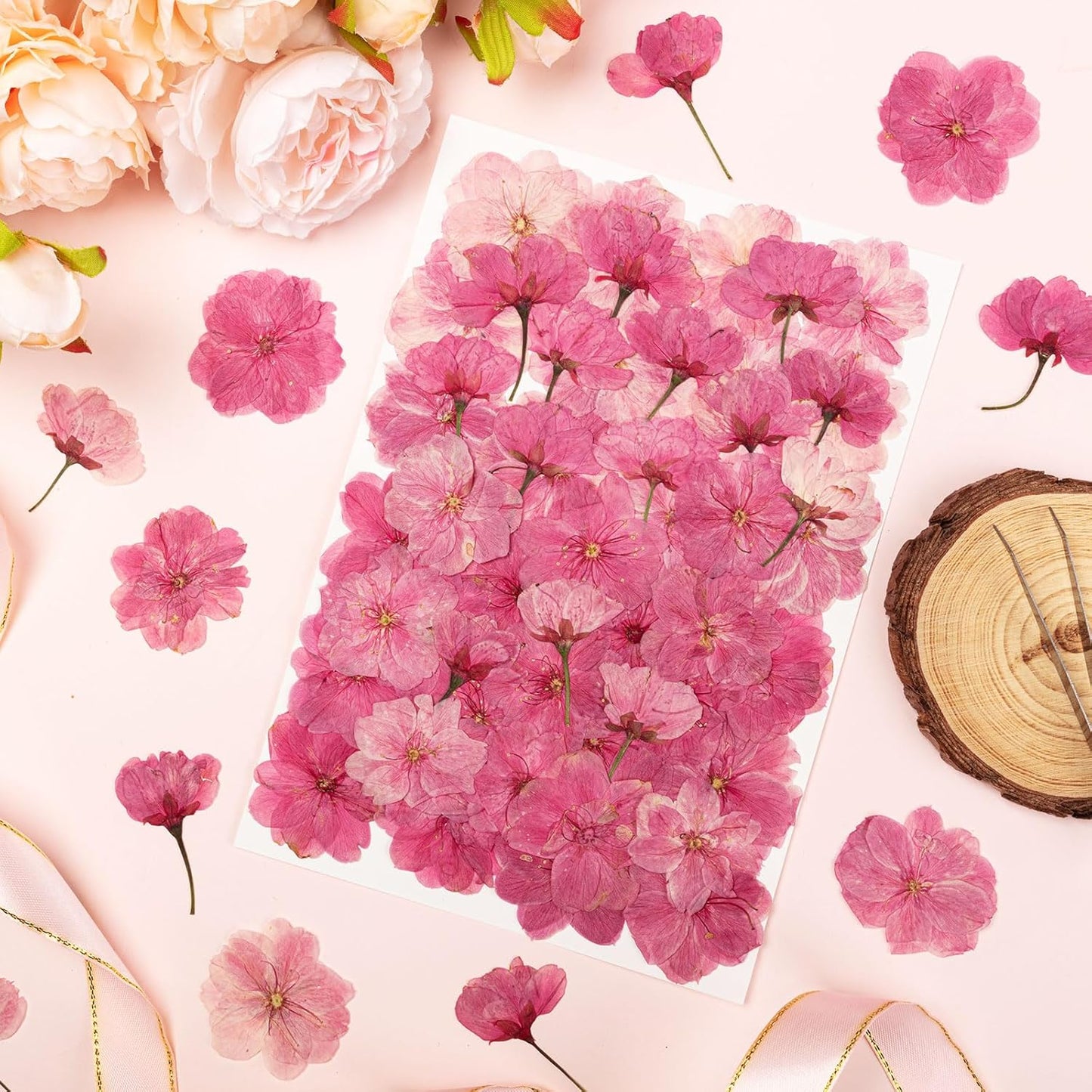 101 PCS Pressed Cherry Blossom for Crafts, Pink Dried Pressed Flowers for Resin DIY Jewelry Making Cake Card Scrapbook Decor, Dried Sakura Flowers for Soap Candle Making