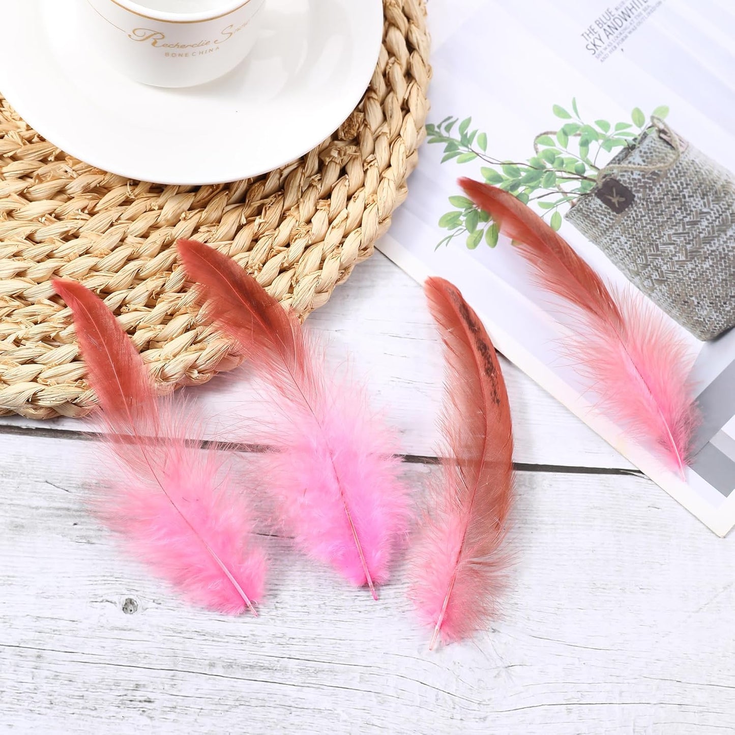 SOGUGOM Pink Rooster Tail Feathers - 200 pcs 5-7 inch Natural Small Feathers Bulk for Craft Projects, Hats, Costume and Party(Light Pink)