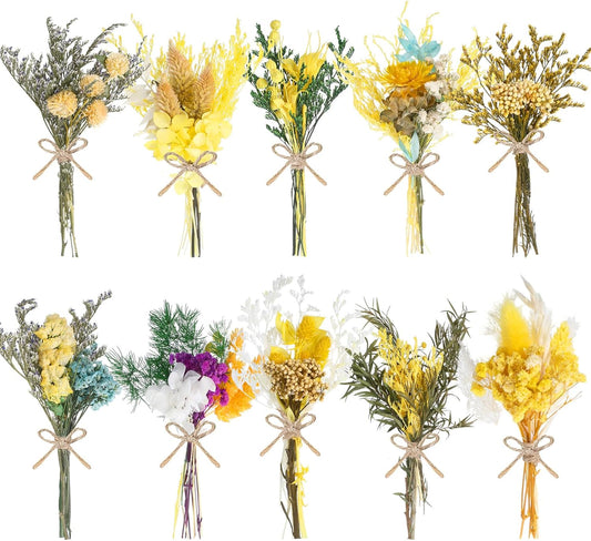10/12/24/36 Pack Mini Dried Flowers for Vase Wedding Fall Various Mini Bouquet Dried Small Natural Flowers Bulk for Crafts DIY Decor (10, Yellow)